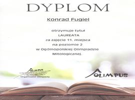 dyplom olimpus